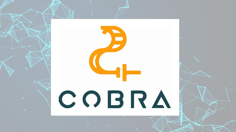 COBRA : Cobalt-free Batteries for FutuRe Automotive Applications